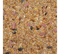Leagrams Original Wild Bird Seed Mix (25.2kg) - High Energy Garden Bird Food