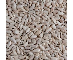 Leagrams Premium Sunflower Hearts (Sunflower Kernels) for Wild Birds - No Mess, High Oil, Bakery Grade High-Energy Feed (28kg) Bag