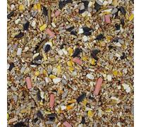Leagrams Spring & Summer Wild Bird Seed Mix (12.55kg) | High-Energy Blend for Tits, Robins & Finches