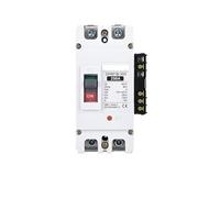 Leakage Protector,Air Switch,Circuit Breaker Panel DC12V 24V 48V MCCB Moulded Case Circuit Breaker Battery With 100A 250A 300A 400A 600A Charging Pile Protector(125a,1P)