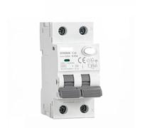 Leakage Protector,Air Switch, Circuit Breaker Panel Type A RCBO 2P 4P Magnetic Residual Current with Over Protection(2P 32A 30mA)