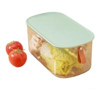 Leakproof Cold Cuts Organizer for Deli Meat(Green L)