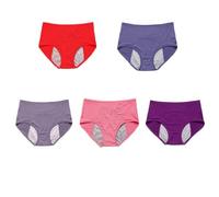 Leakproof Incontinence Panties for Women Over 60-5 Pack Comfortable & Dist Absorbent Underwear (Combo 10 Small)
