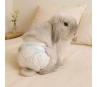 Leakproof Rabbit Diapers - Disposable Bunny Pet Diaper for Small Rabbits, Incontinence & Potty Training (White, S Size (Recommended for 5-8 lbs), Count, 1)