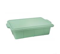 Leakproof Silicone Trays with Secure-Fit Lids for Freezing Soups Sauces and Meal Prep Stackable Flexible Design for Kitchen Use (Light green)