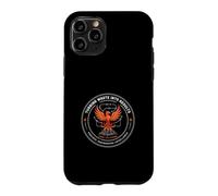 Lean Six Sigma Engineer Results Case for iPhone 11 Pro