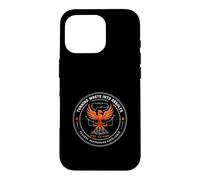Lean Six Sigma Engineer Results Case for iPhone 16 Pro