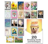 Leanin' Tree, Best Wishes Greeting Card Assortment for all Occasions, Beautifully Designed Portfolio Box, Printed on Recycled Paper using Soy-based inks, Made in the USA, 20 Cards with colorful