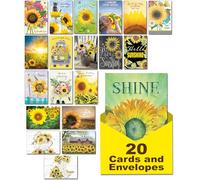 Leanin' Tree, Hello Sunshine, Greeting Cards Assortment Box, Assorted Cards with Envelopes All Occasion, (20 Greeting Cards, 22 Colorful Envelopes)
