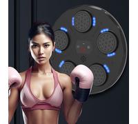 Leaper Home Smart Boxing Wall Target with Bluetooth Music Function in Black Leaper Black