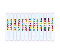 Learn Guitar Fingerboard Note Decal Scale Sticker for Electric Guitar Clear
