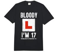 Learner Driver 17th Birthday Im 17 Today Driving Lessons Comfort Colors Adult Heavyweight T-Shirt