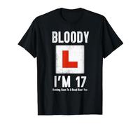 Learner Driver 17th Birthday Im 17 Today Driving Lessons Value Graphic T-Shirt, Men, Black, L