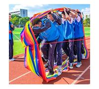 Learning Activity Run Mat,Game Play Running Mat, Teamwork sports game running mat, Adult Outdoor Play Party Carnival Teamwork Group Learning Activity rolling Run Mat(Adult-11M)