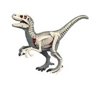 Learning Model of An Animal Body, Teaching Material, Puzzle for Animal Biology Lessons for, 3105