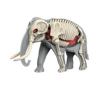 Learning Model of An Animal Body, Teaching Material, Puzzle for Animal Biology Lessons for, 3109