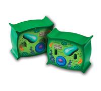 Learning Resources Cross-Section Plant Cell Model | Plant Anatomy, Science Classroom Accessories, 2 Foam Pieces