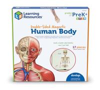 Learning Resources Double-Sided Magnetic Human Body