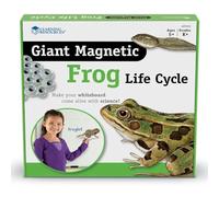 Learning Resources Giant Magnetic Frog Life Cycle