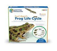 Learning Resources Giant Magnetic Frog Life Cycle, Early Science Activity, Classroom Resources, Key stage 1 & 2, Activity Guide Included
