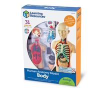 Learning Resources Human Body Model - Children's 31 Piece Biology Anatomy Kit