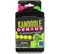 Learning Resources Kanoodle Genius 3-D Puzzle