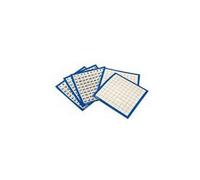 Learning Resources Wipe Clean Hundred Boards (Set of 10)