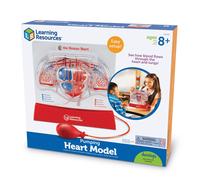 Learning Resources Pumping Heart Model, 12inx11inx5in