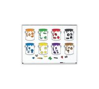 Learning Resources Splash of Colour Magnetic Sorting Set
