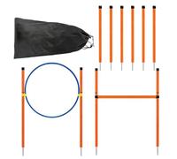 LearnLyrics Agility Course for Dogs Exercise Trainer with Tunnel