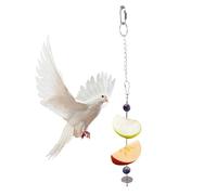 LearnLyrics bird cage food stand, parakeet feeders for bird cage | treat holder for parrots, parakeet feeder | small animal feeder, toy