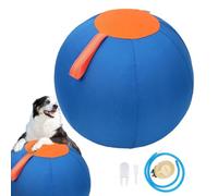 LearnLyrics Herding Dog Ball - Comfortable Inflatable Puppy Toy