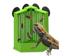 LearnLyrics Reptile Corner Feeder - Suction Cup Food Bowls, Anti-Escape Live Prey Dishes, Lizard Tortoise Frog Habitat, Terrarium Enclosure Accessory | Pet Supplies Gadget For Breeders Keepers
