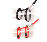 Leash and harness for large cat Duvoplus Diamants