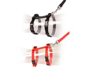 Leash and harness for large cat Duvoplus Diamants