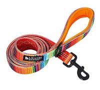 Leashboss 6ft Dog Leash | Ultra Comfort Double-Thick Soft Padded Handle | Reflective Leash for Large Dogs, Medium Dogs | Heavy Duty Leash for Large Breed Dogs | Nylon Leash for Small Dogs/Puppies