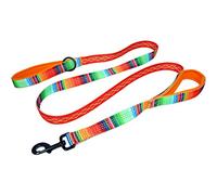 Leashboss Double Handle Dog Leash, Pattern Collection, 6Ft Reflective Dog Leash with Two Padded Handles for Large Dogs or Medium Dogs That Pull (6 Foot x 1 Inch Wide, Blanket Pattern)