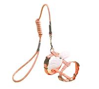 leasote Cat Harness Vest with Leash, Angel Wing Decor Pet Vest for Small Medium Dog Cat Walking Orange M