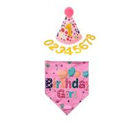 Leasote Dog Birthday Hat, Pink Letter Print, Shiny Gold Numbers, Cloth, All Ages, Elastic Closure, Hat & Scarf Set