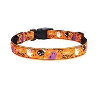 leasote Halloween Dog Collars, Adjustable Breakaway Dog Collar with Traction Ring, Nylon Halloween Ghost Spider Printed Pet Collar for Small Medium Puppy Doggy Cat Girl Boy 5 L