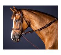 Leather and nylon horse reins Dy'on 5/8