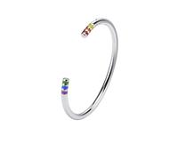 Leather Braided LGBT Rainbow Bangle Bracelet - Gay & Jewelry Set for Men (Silver, 59mm)