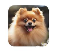 Leather Coasters for Drinks Pomeranian Dog Coaster Set of 4 Square Drink Coasters Set Heat-Resistant Cup Mat for Tabletop Protection Absorbent Tea Cup Coasters for Home Decor