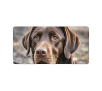 Leather Desk Pad Protector, Brown Labrador Retriever Mouse Pad, Office Desk Mat XXL Extended Gaming Mousepad, Non-Slip Keyboard Pad Waterproof Writing Pad for Office Home 23.6" X 11.8"