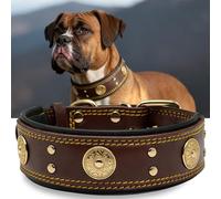 Leather Dog Collar, 5 cm Wide, Robust Genuine Leather Collar, Handmade, Soft and Luxurious, Eye-catching Best Choice for Large and Medium Dog Breeds, Gold-Brown S