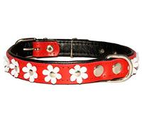 LEATHER DOG COLLAR FLOWER Designer DAISY COLOUR PADDED Handmade RED with BLACK lining and WHITE FLOWER (20" 2.0cm wide/ 50cm long)
