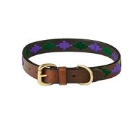 WeatherBeeta Polo Dog Collar - Beaufort Brown/Purple/Teal - Small