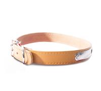 Leather dog collar with bib Martin Sellier Rive