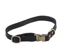 Leather Dog Collar with Engraved Buckle, Soft Padded Pet Collar for Small Medium Large Dogs and Cats, Classic Padded Leather Dog Collar with Brushed Bronze Hardware, Breathable Sue (M)
