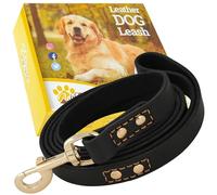 Leather Dog Leash 6 ft x 3/4 inch - Soft, Strong, Heavy Duty for Large & Medium Breeds - Dog Lead for Training (Black - Gold Colored Clasp, L - 6 ft x 3/4 inch)